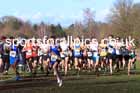 Boys under-15s 2025 Northern Cross Country Champs, Tatton Park, Knutsford, Cheshire. Photo: David T. Hewitson/Sports for All Pics
